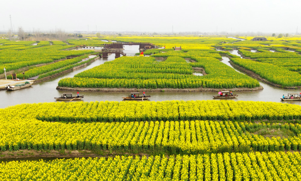 3月18日,游客在兴化市千垛景区游览(无人机照片).